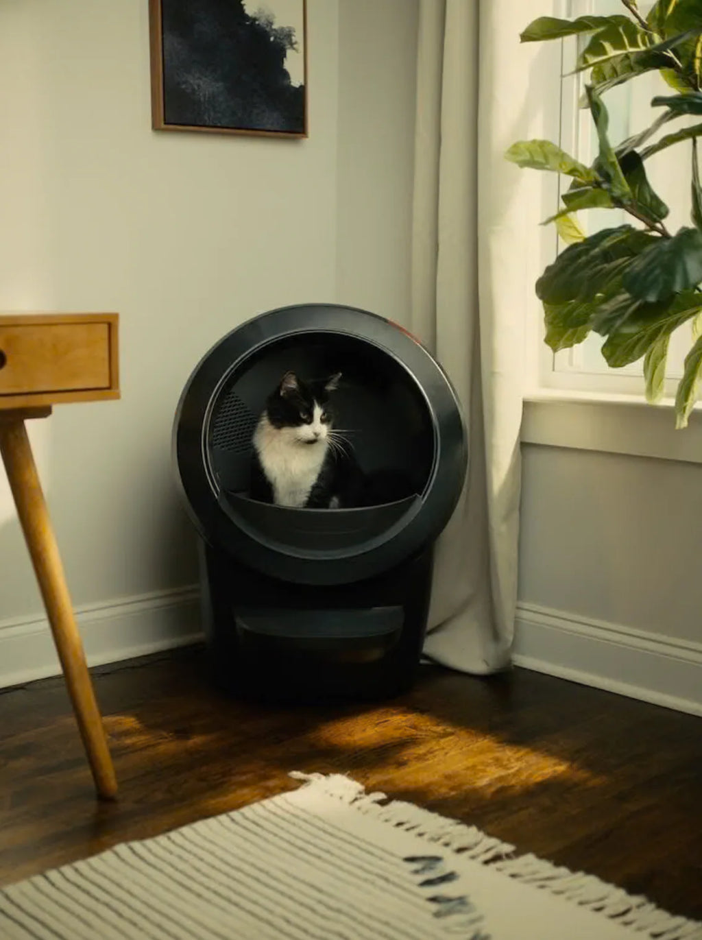 Litter-Robot® 4